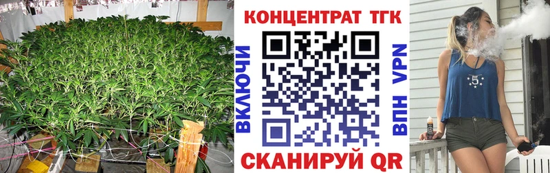 закладки  Лесной  Дистиллят ТГК гашишное масло 