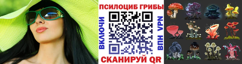 Псилоцибиновые грибы ЛСД  купить наркоту  Лесной 