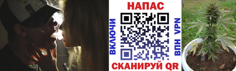 Канабис White Widow  сколько стоит  Лесной 
